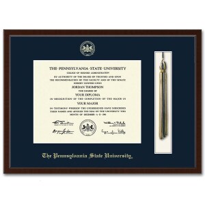 diploma frame with tassel shadow box Delta molding The Pennsylvania State University gold embossed with seal
